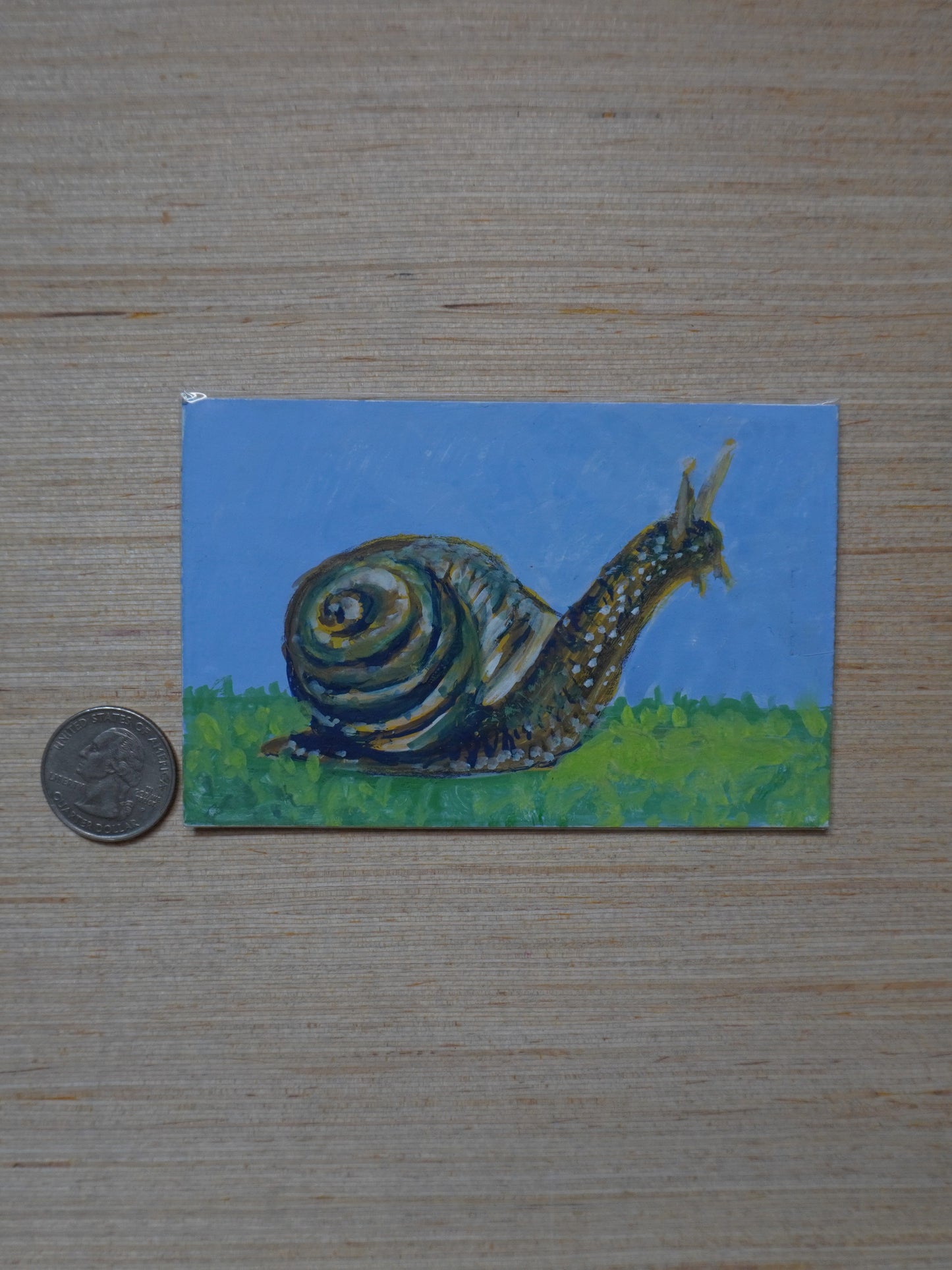 Mini Snail Painting