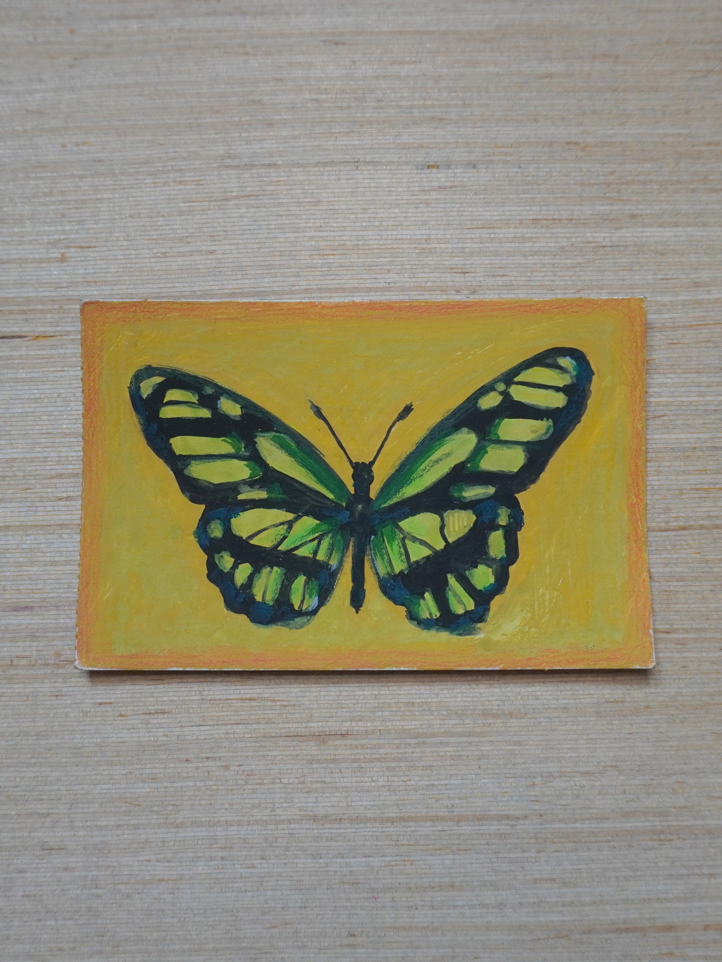 Mini Butterfly Painting