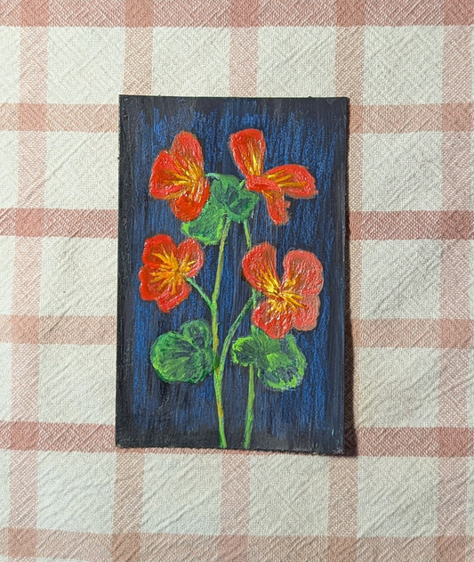 Mini Nasturtiums Painting