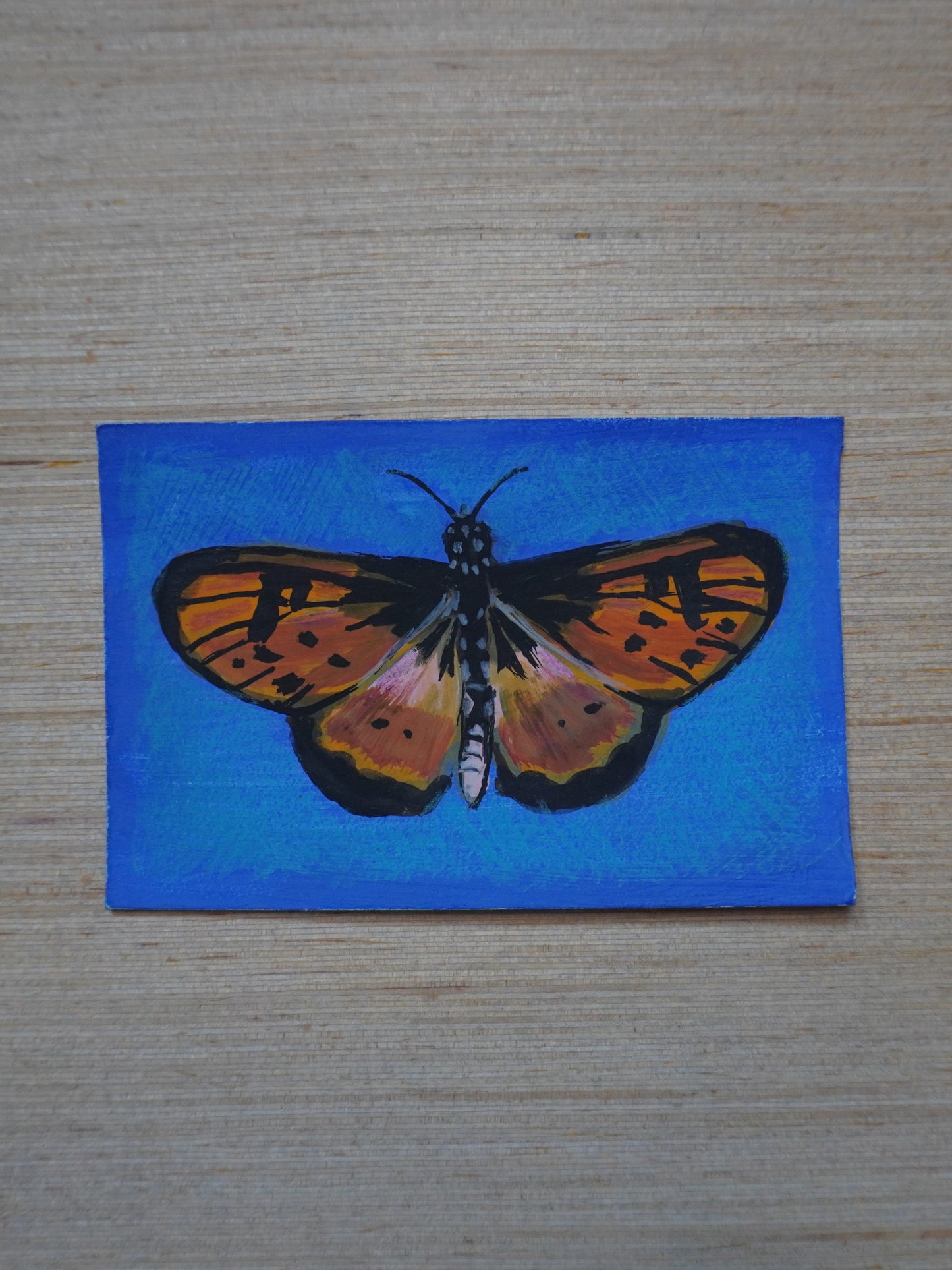 Mini Butterfly Painting