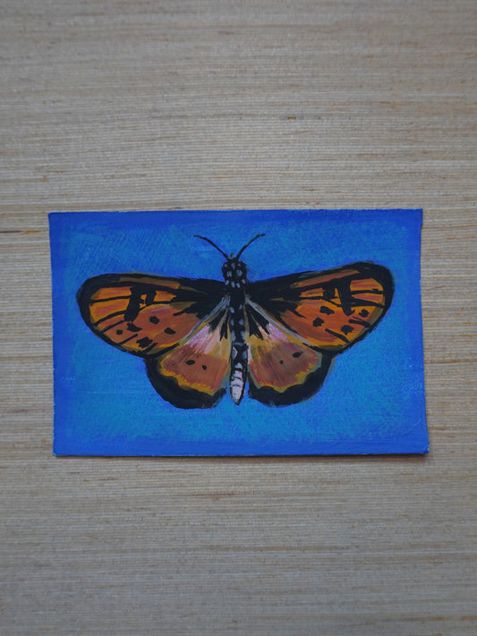 Mini Butterfly Painting