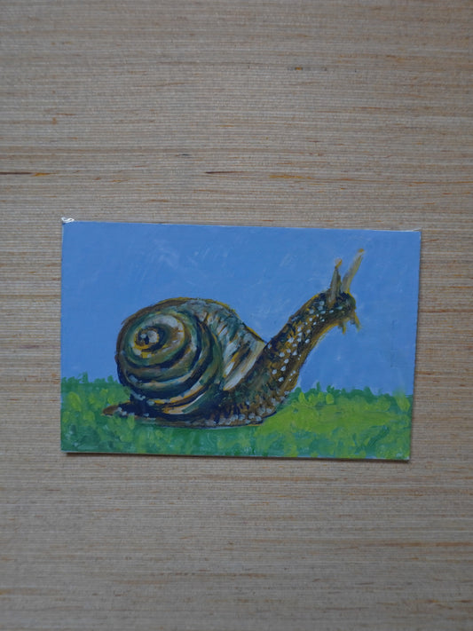 Mini Snail Painting
