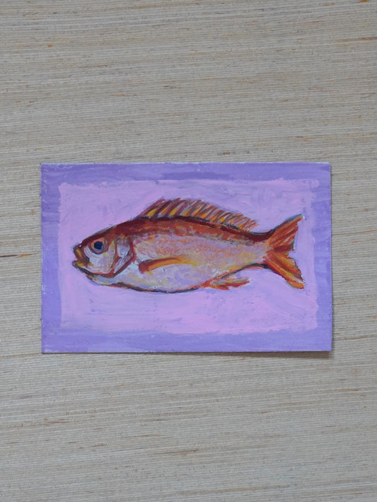 Mini Fish Painting