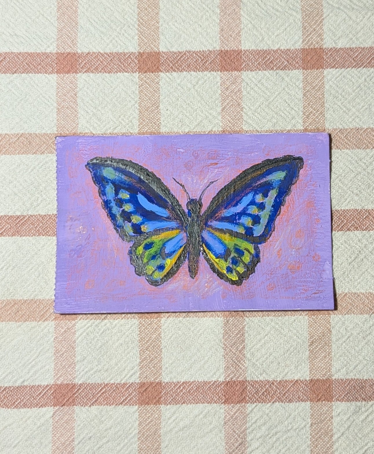 Mini Butterfly Painting