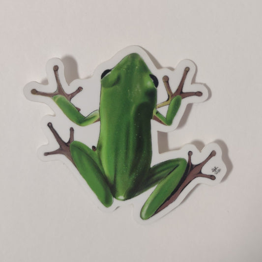 Frog sticker